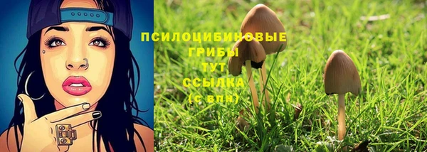 молекула духа Алзамай
