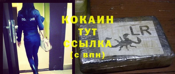 молекула духа Алзамай